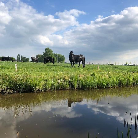Vakantiehuis In Friesland Voor De Hele Familie Huns Ngoại thất bức ảnh