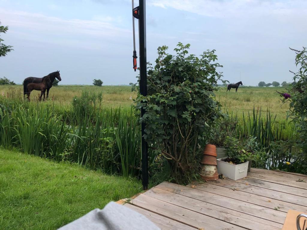 Vakantiehuis In Friesland Voor De Hele Familie Huns Ngoại thất bức ảnh