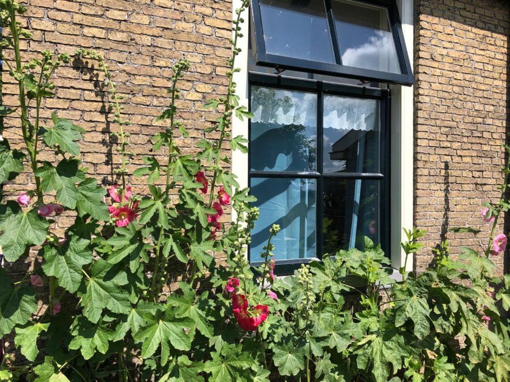 Vakantiehuis In Friesland Voor De Hele Familie Huns Ngoại thất bức ảnh